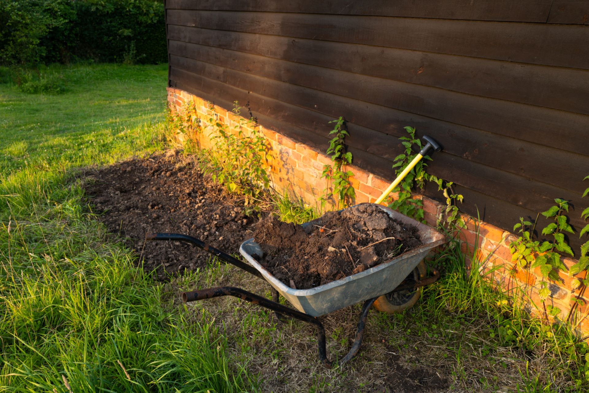 "My mom has been struggling with her lawn for a while."