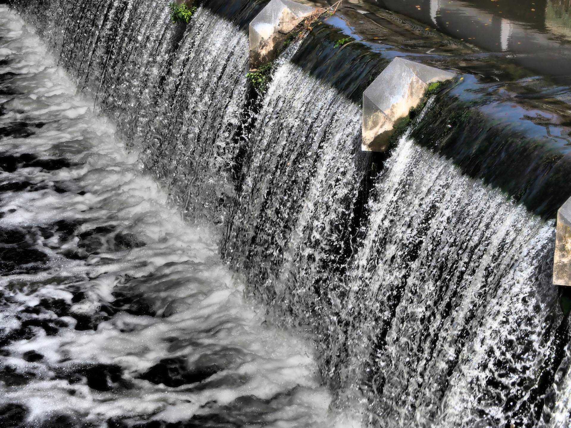 “Freeing rivers and their floodplains allows them to re-establish as natural water buffers."