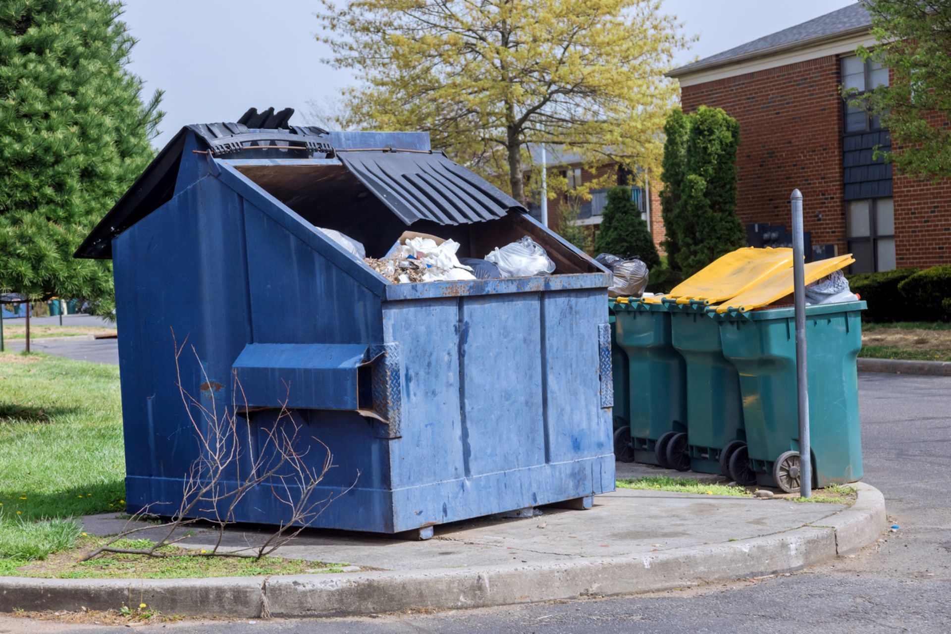 "No shame in my dumpster diving game."