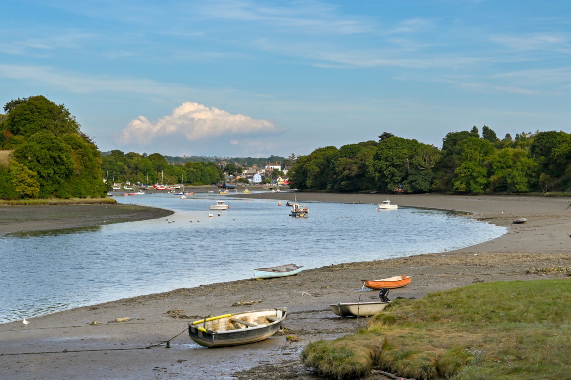 "Untreated sewage causes a host of problems on our rivers."