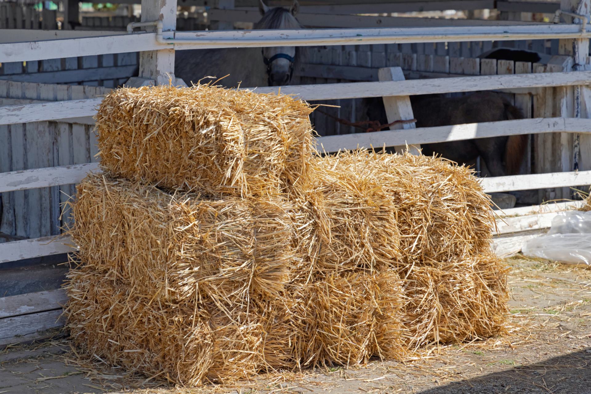 Straw Bales