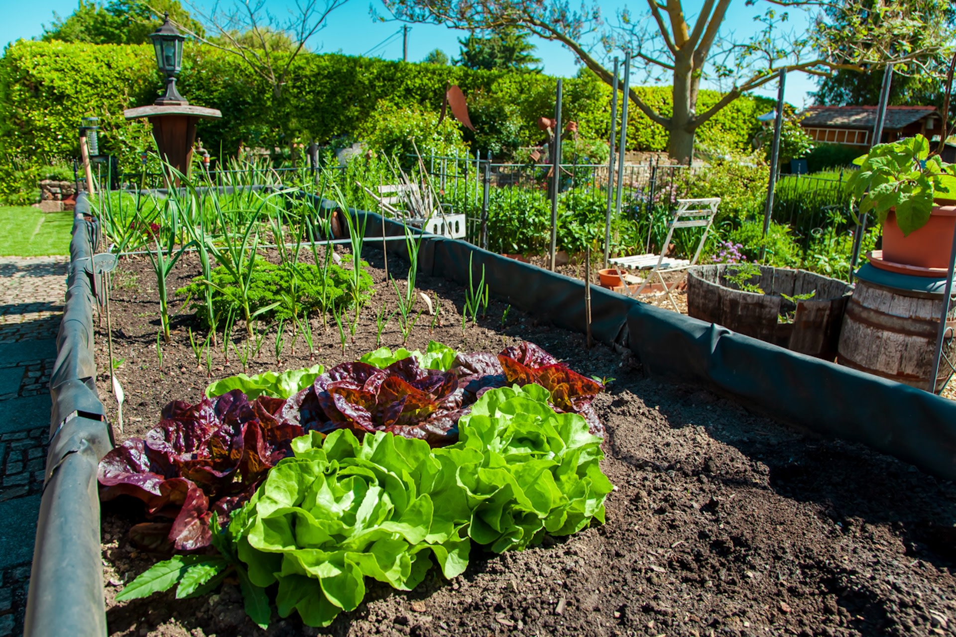 "They break down and release who knows what into your food soil."