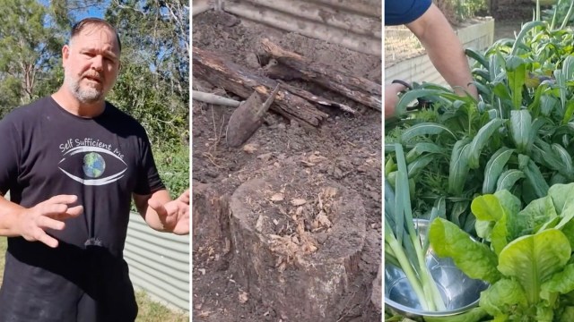 "We did this, our veggie garden is thriving."