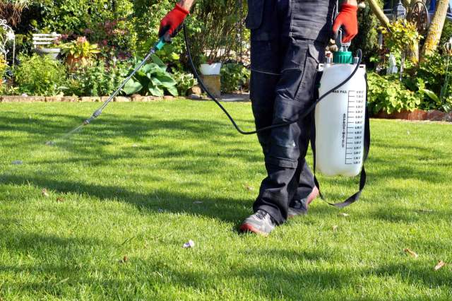 "This is an excellent opportunity to eliminate your lawn."