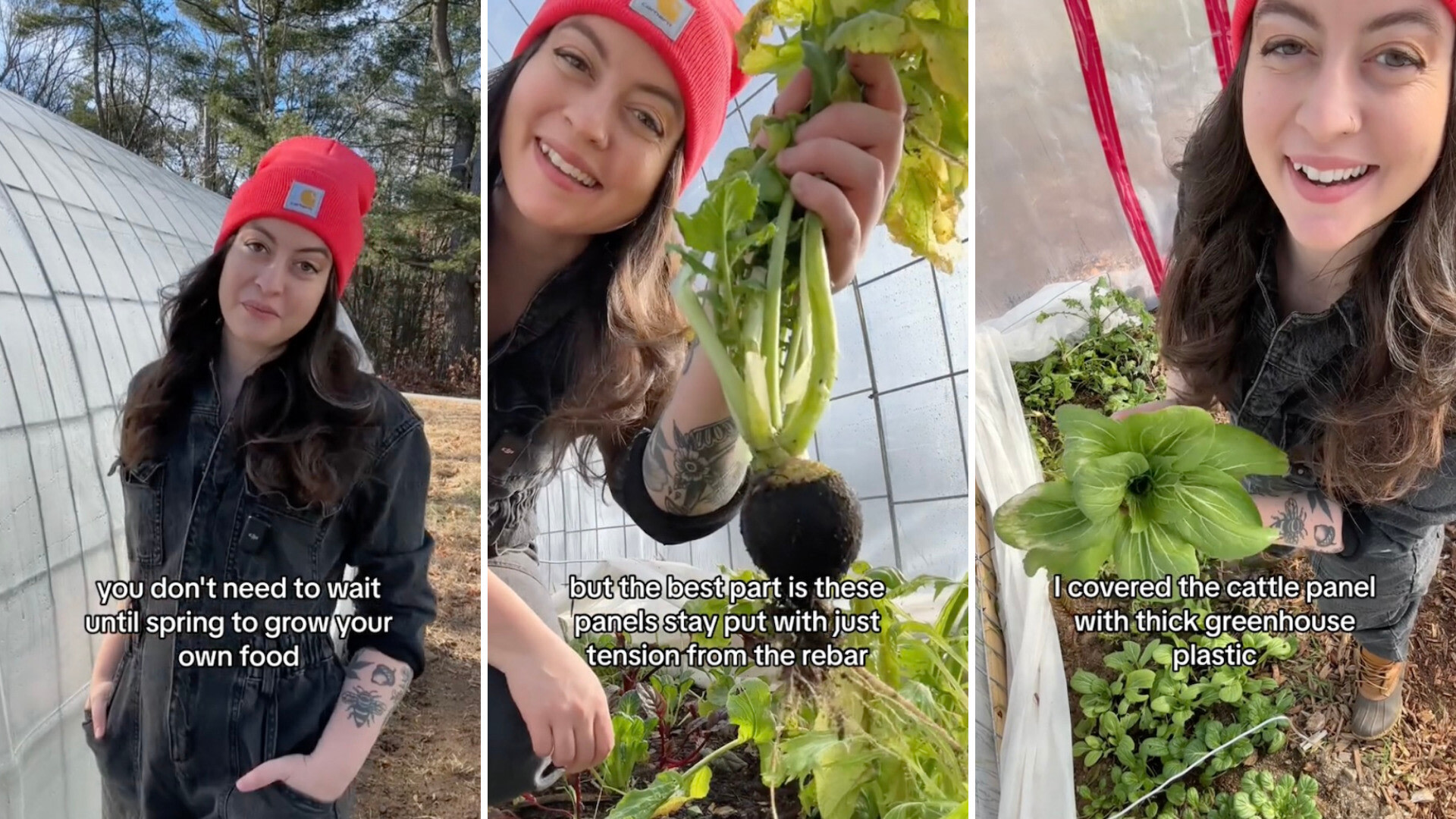 "Nothing beats picking fresh greens in the depths of winter."