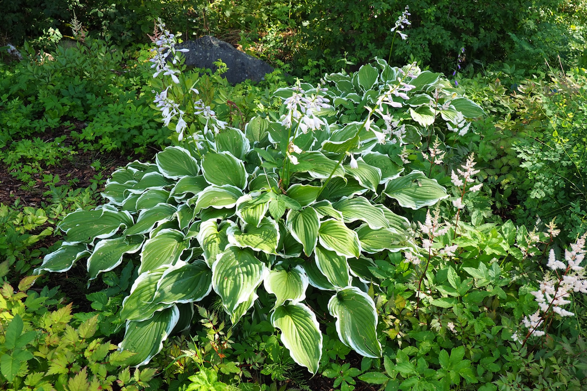 Unfortunately for most tenants, there isn’t much that can be done to protect a garden bed from a negligent or disrespectful landlord.