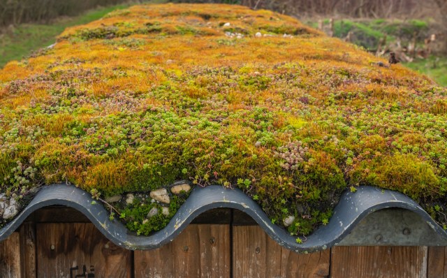 "It was cool enough for me to leave my phone and my water out on the roof."