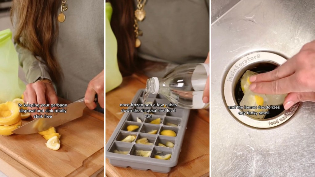 DIY Clean And Rid Smells From A Garbage Disposal