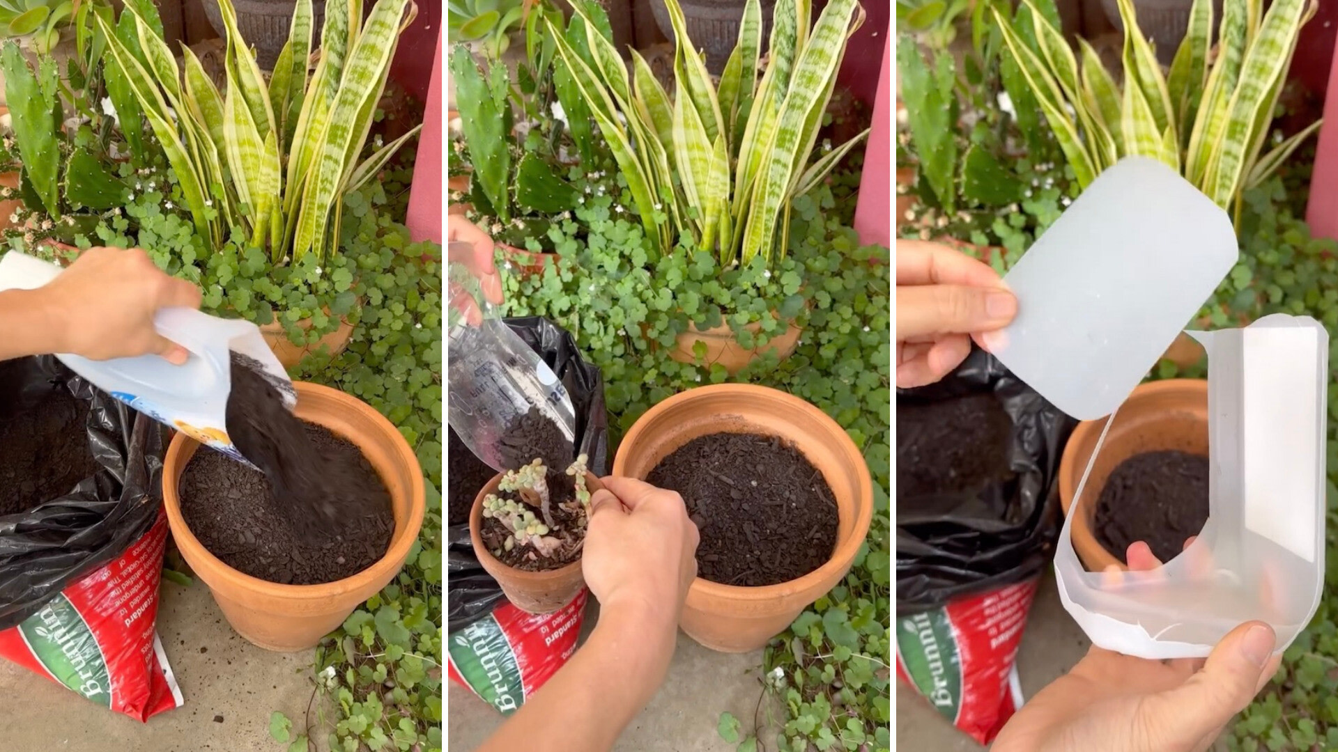 Gardener wows with 'genius' hack for getting garden tools without spending a dime: 'What a simple and amazing idea'