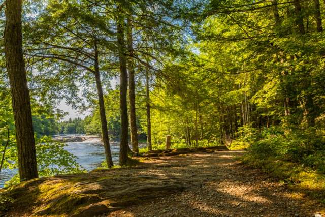 "We can still walk on the land and enjoy the land ..."