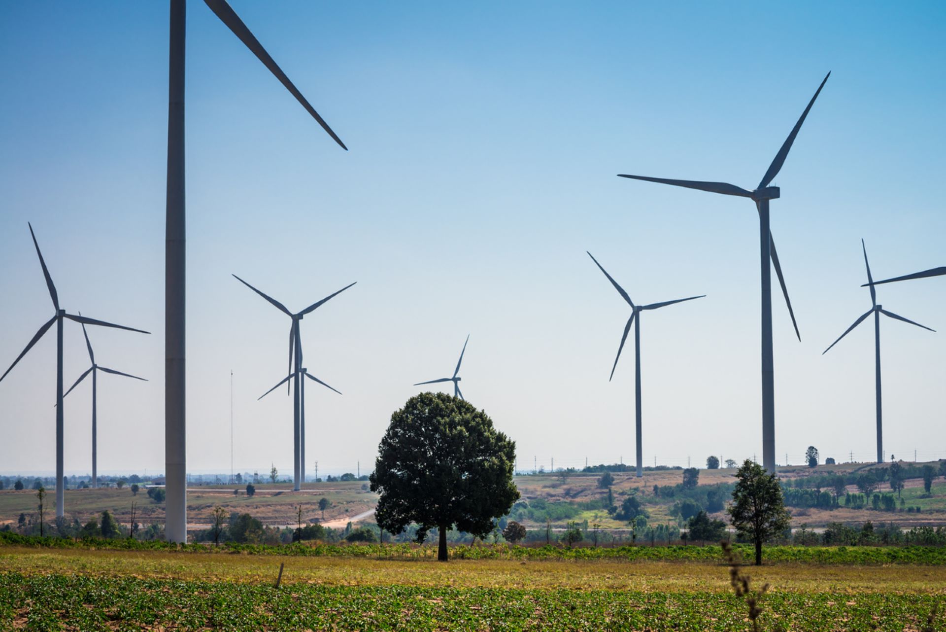 Company unveils the Incredible Hulk of wind power with hopes it'll revolutionize the industry: 'One of the cornerstones of the … transition'