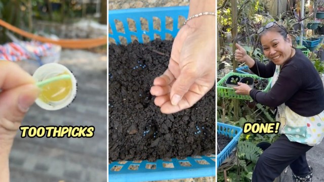 "Wow this is the first video I've ever seen on gardening that made me think hmm maybe I can actually do it too!"