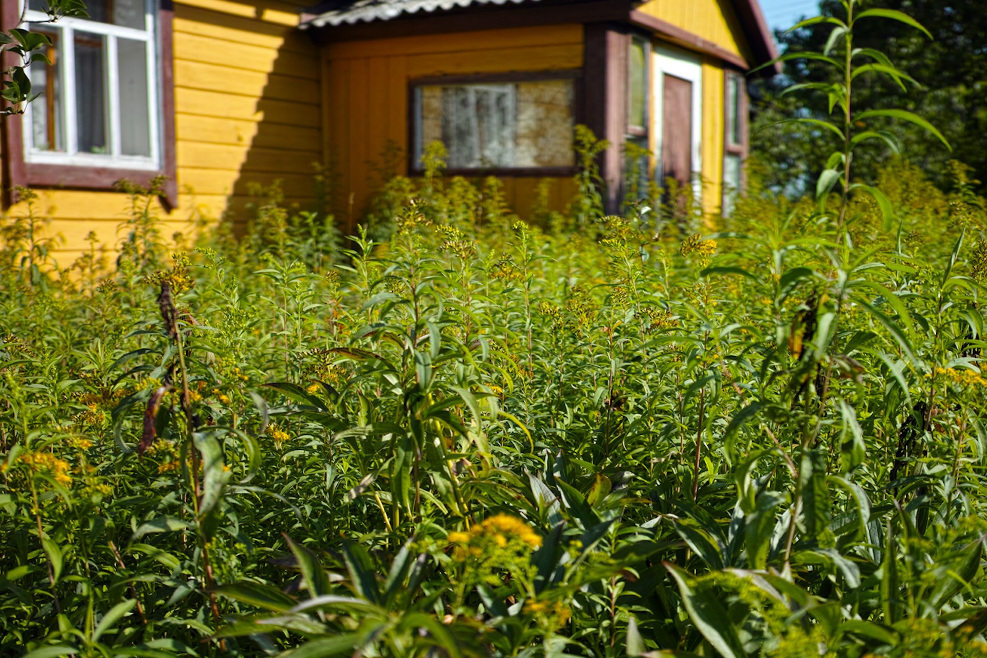 "If you're in a fixed term, landlord needs specific grounds to evict you."