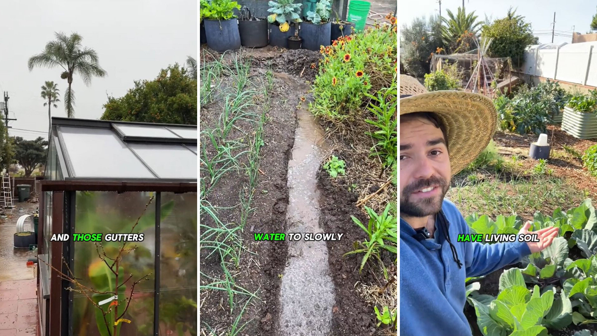 Garden expert shows off how they saved $700 with one free hack: 'Your setup looks dope'