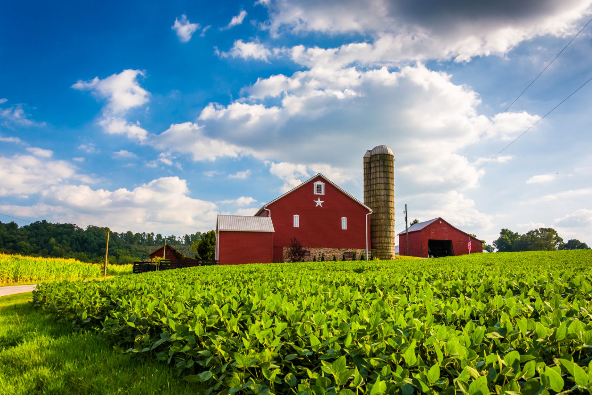 Walmart and General Mills team up on remarkable project using 600,000 ...