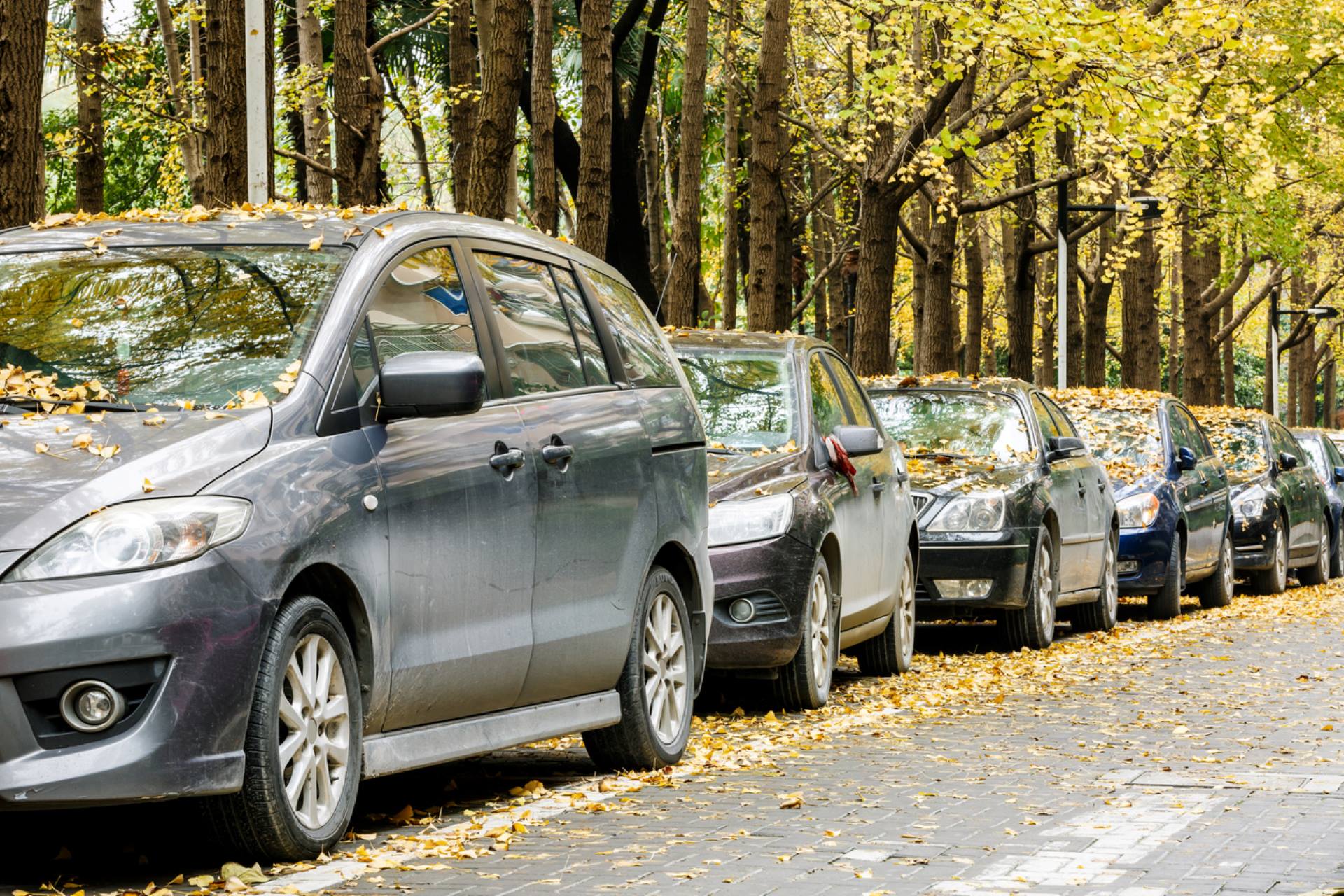 Homeowner at wits' end with neighbors' parking habits: 'Emergency ...