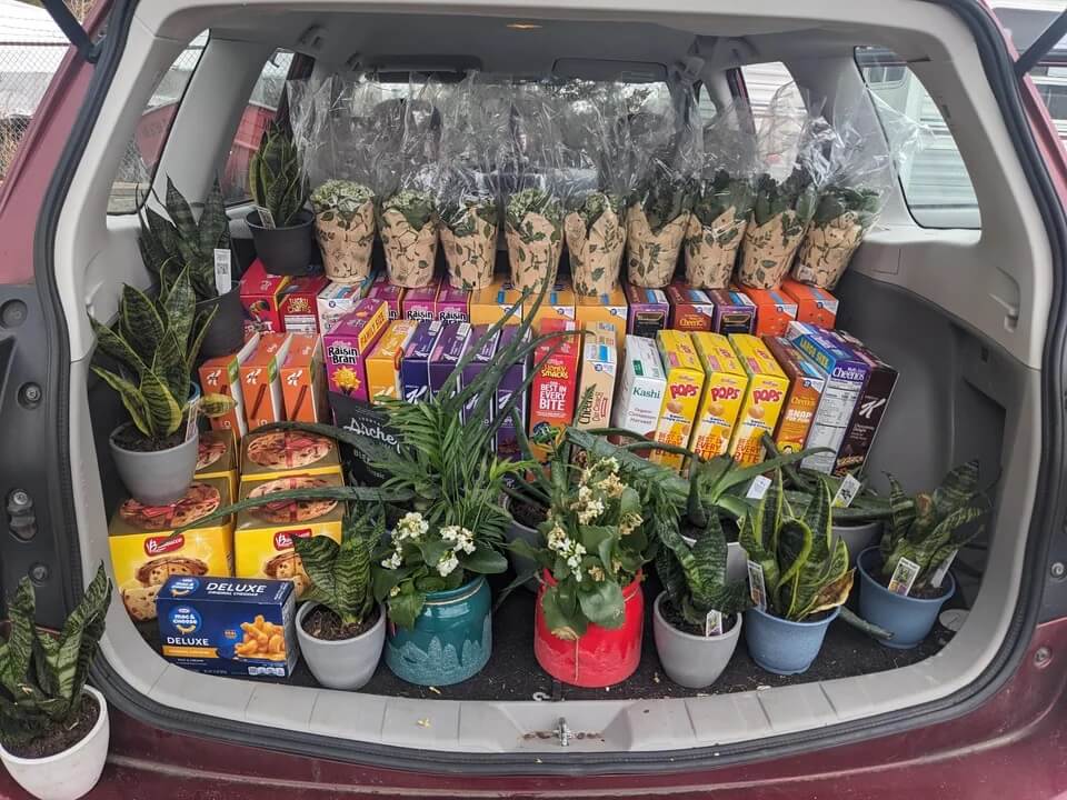 "This wasn't even all of the plants."