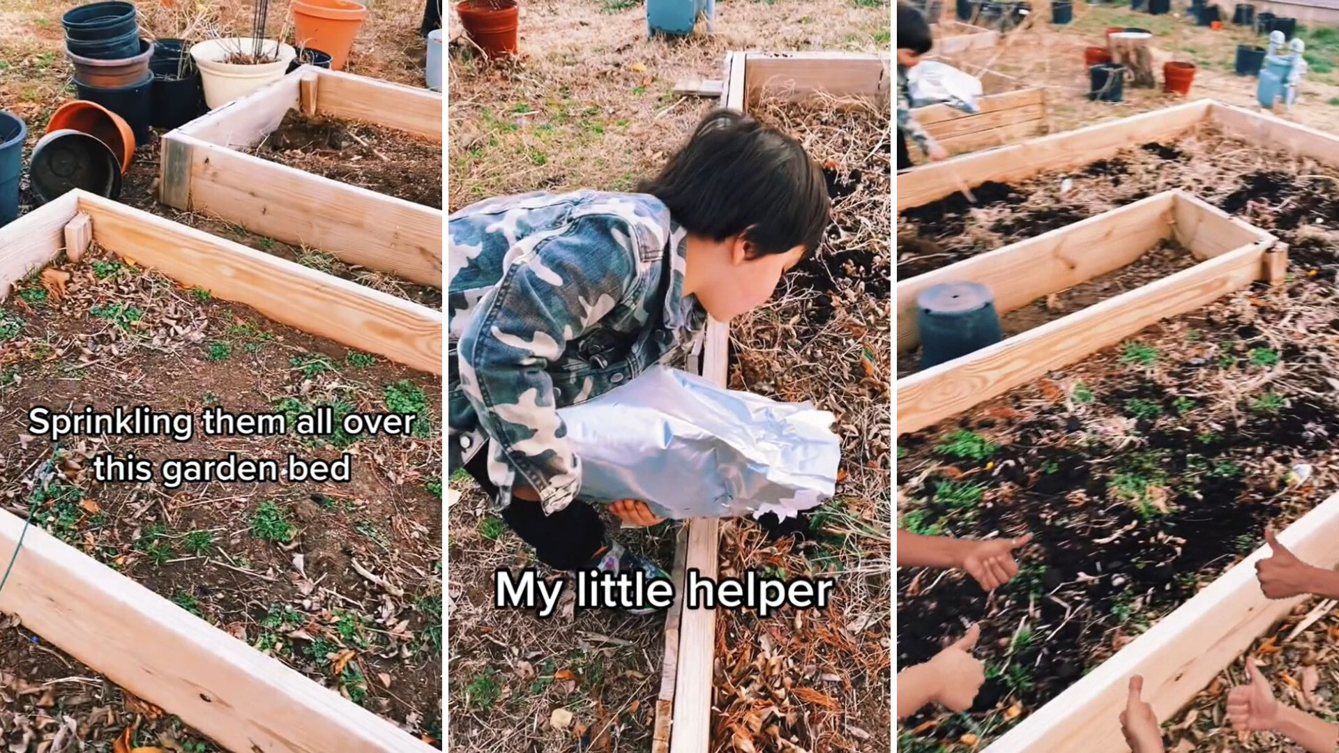 "My avocado tree loves them."