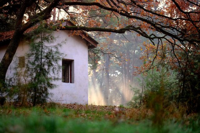 "It's fun to admire the lawns and gardens of the homes you pass."