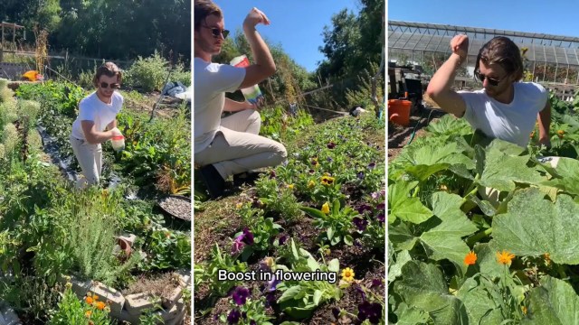 The online gardening community has erupted with enthusiasm over this unexpected yet effective hack.