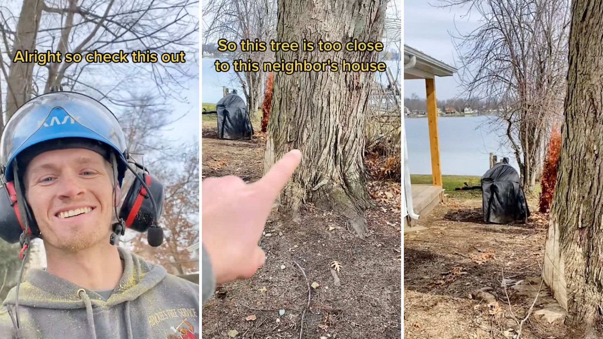 “Sad part is the tree was probably there long before the house.”