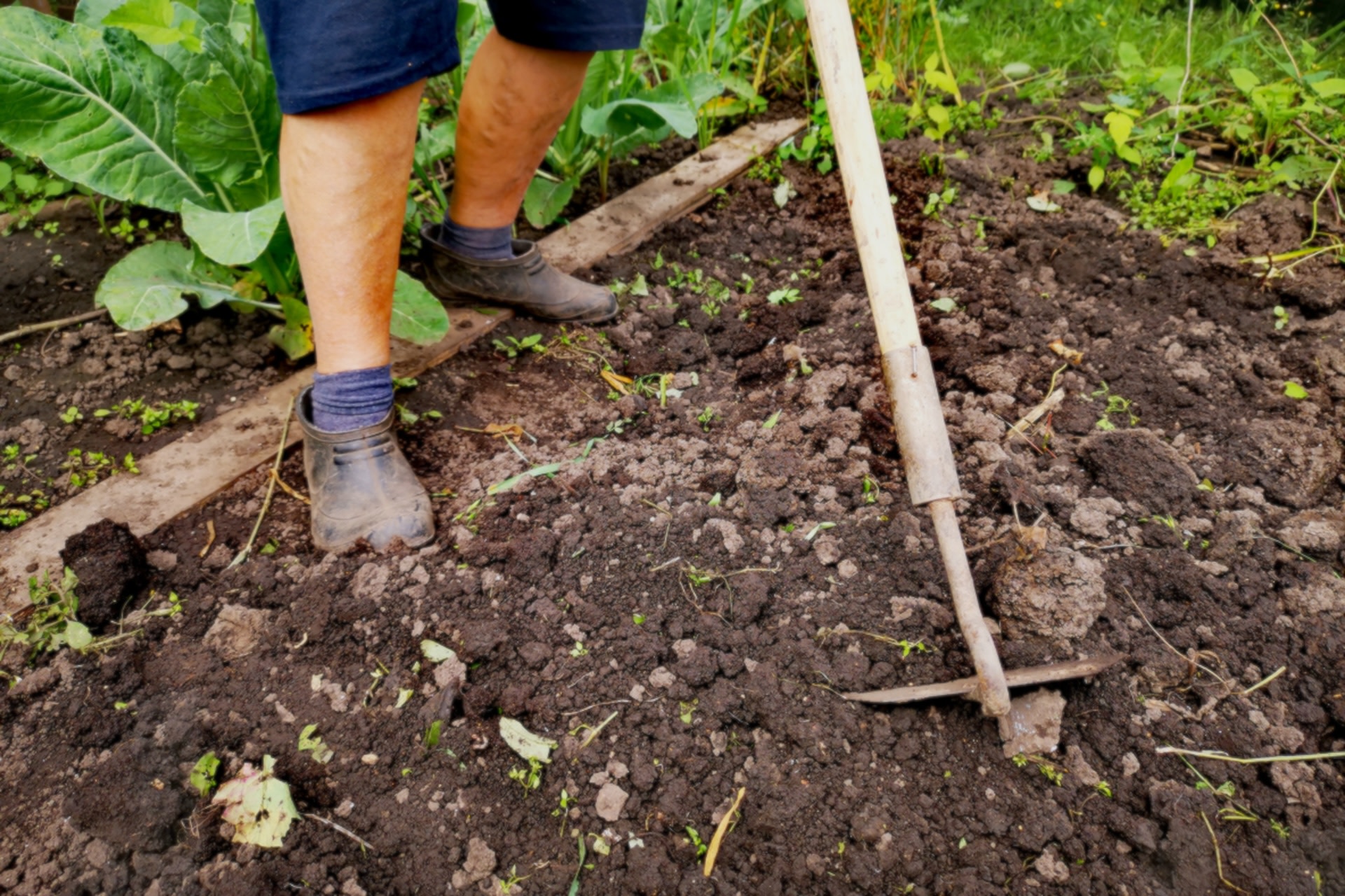 The practice indefinitely prevents proper soil health and plant growth.