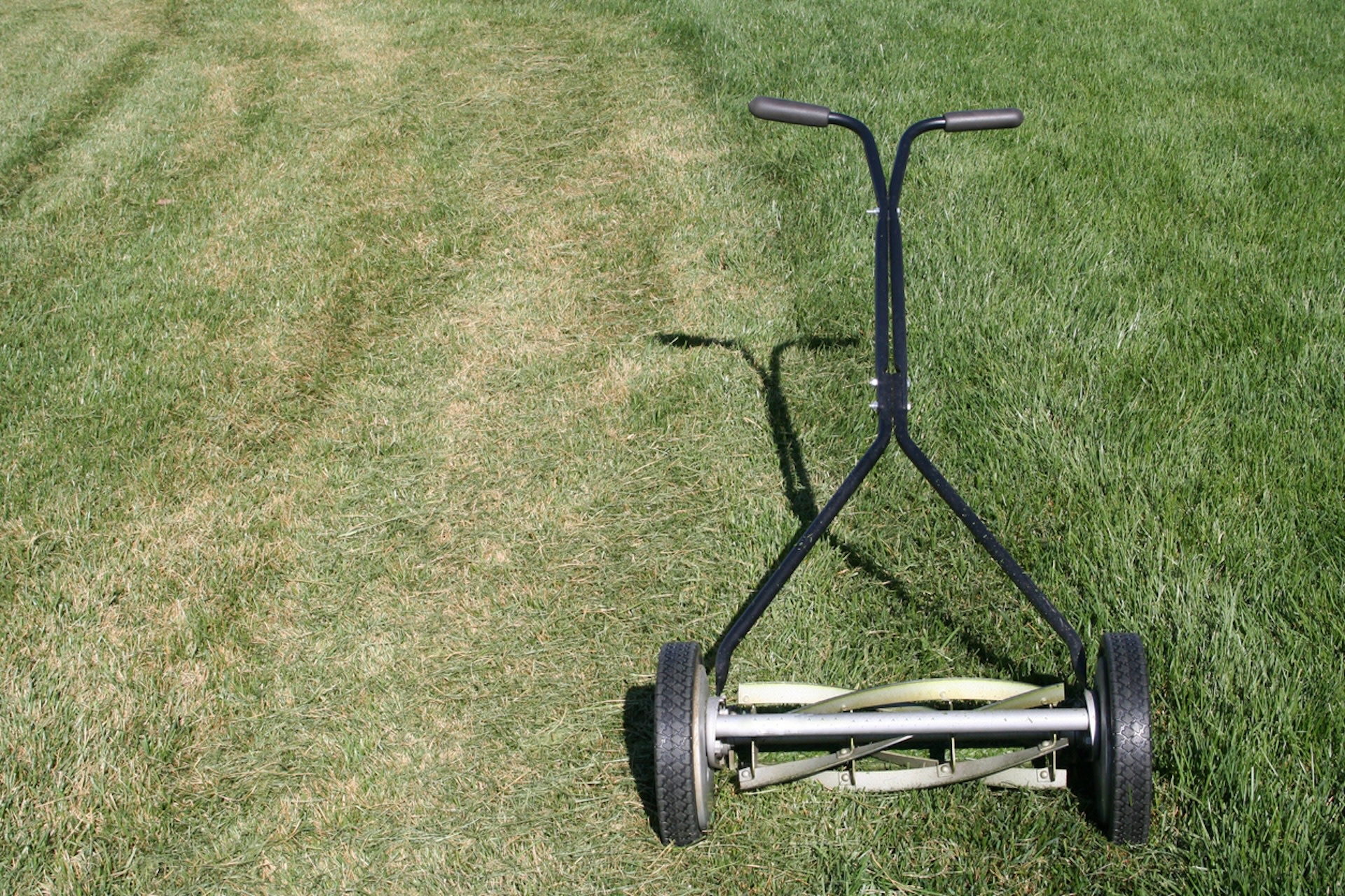 Reel mowers vs. gas mowers — why one option is better for your grass, your  bank account, and the planet