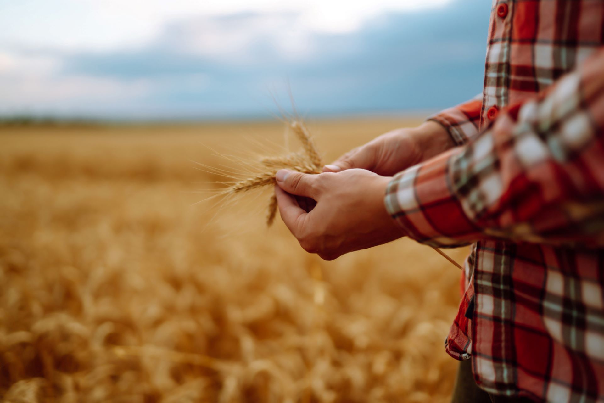 "Through experience and knowledge, these seeds hold the solution."