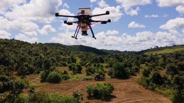 Efforts to grow more trees in areas blighted by deforestation are extremely important.