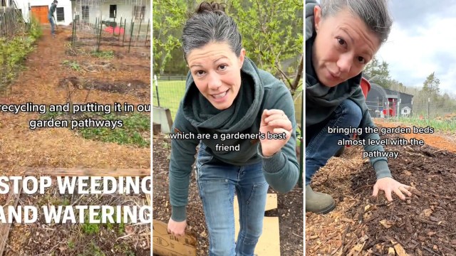 "We're taking a year's worth of our cardboard recycling and putting it in our garden pathways."