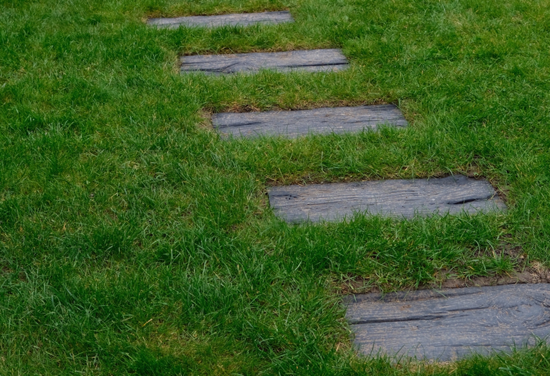 In the case of these ground covers, both plants require less watering than traditional grass, lowering your total water bill.