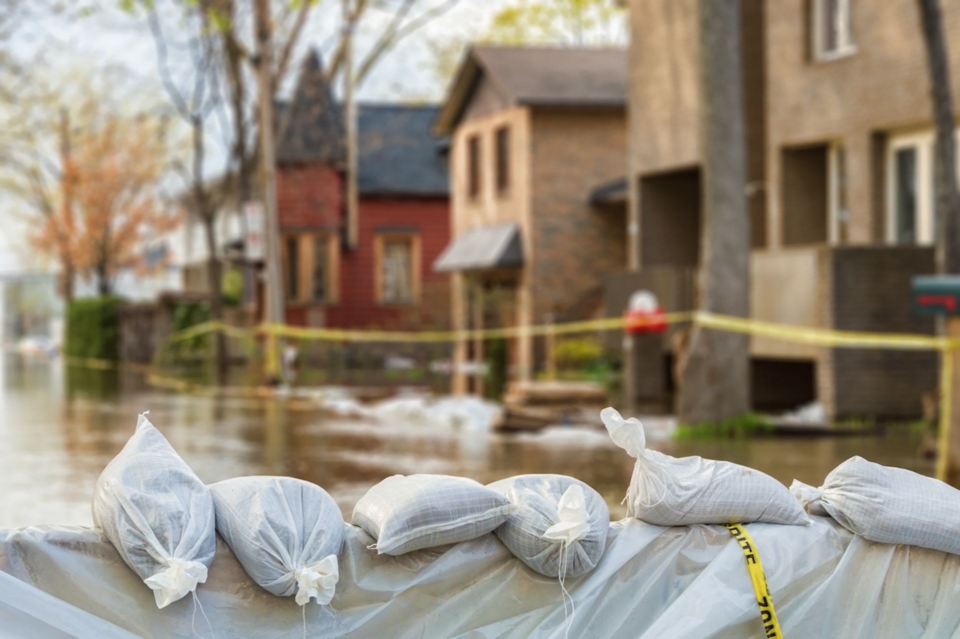 Companies install innovative project designed to prevent urban flooding: 'There isn't anything else like this in the county'