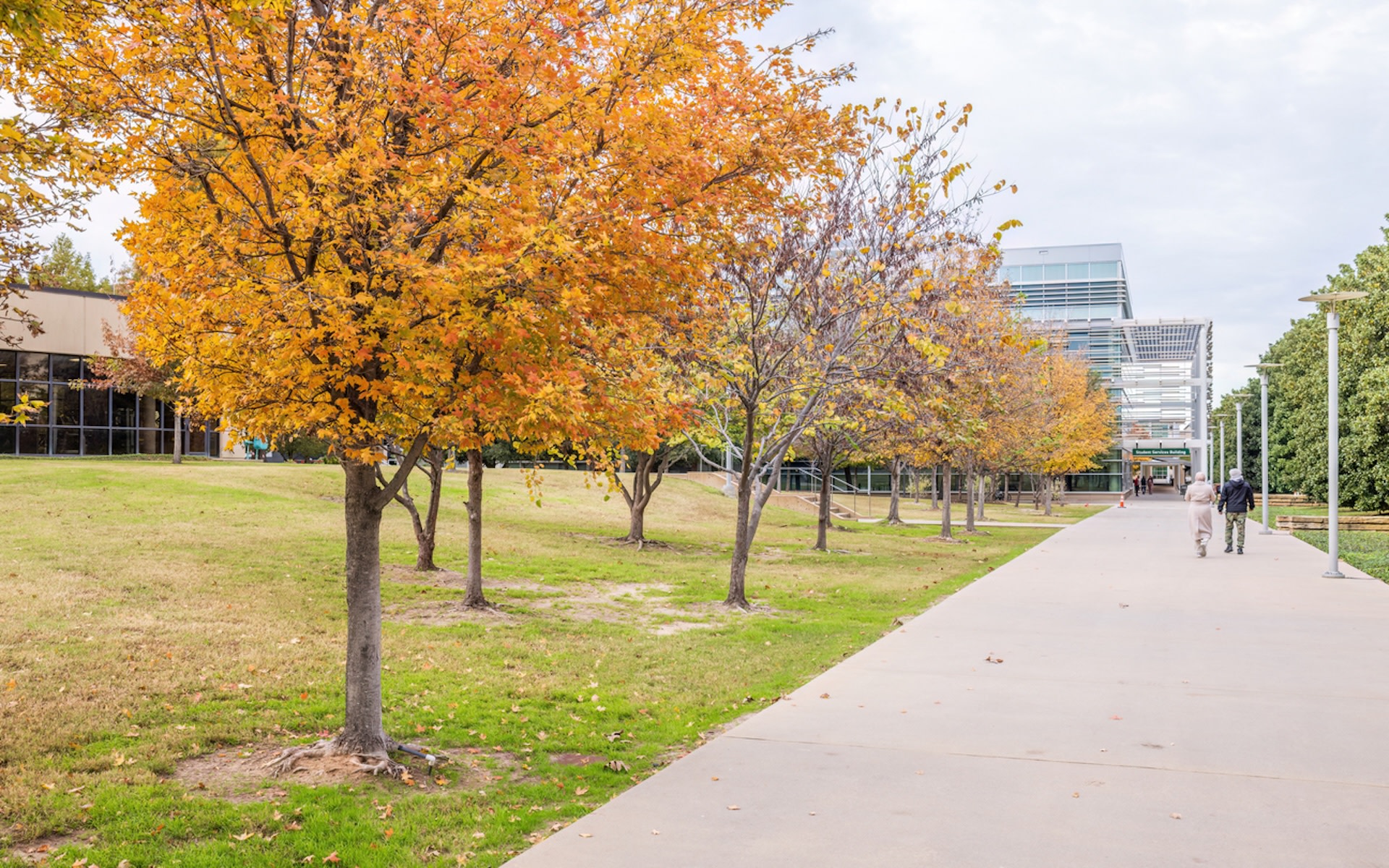 "A college that large should have someone on staff who knows what the heck they're doing."