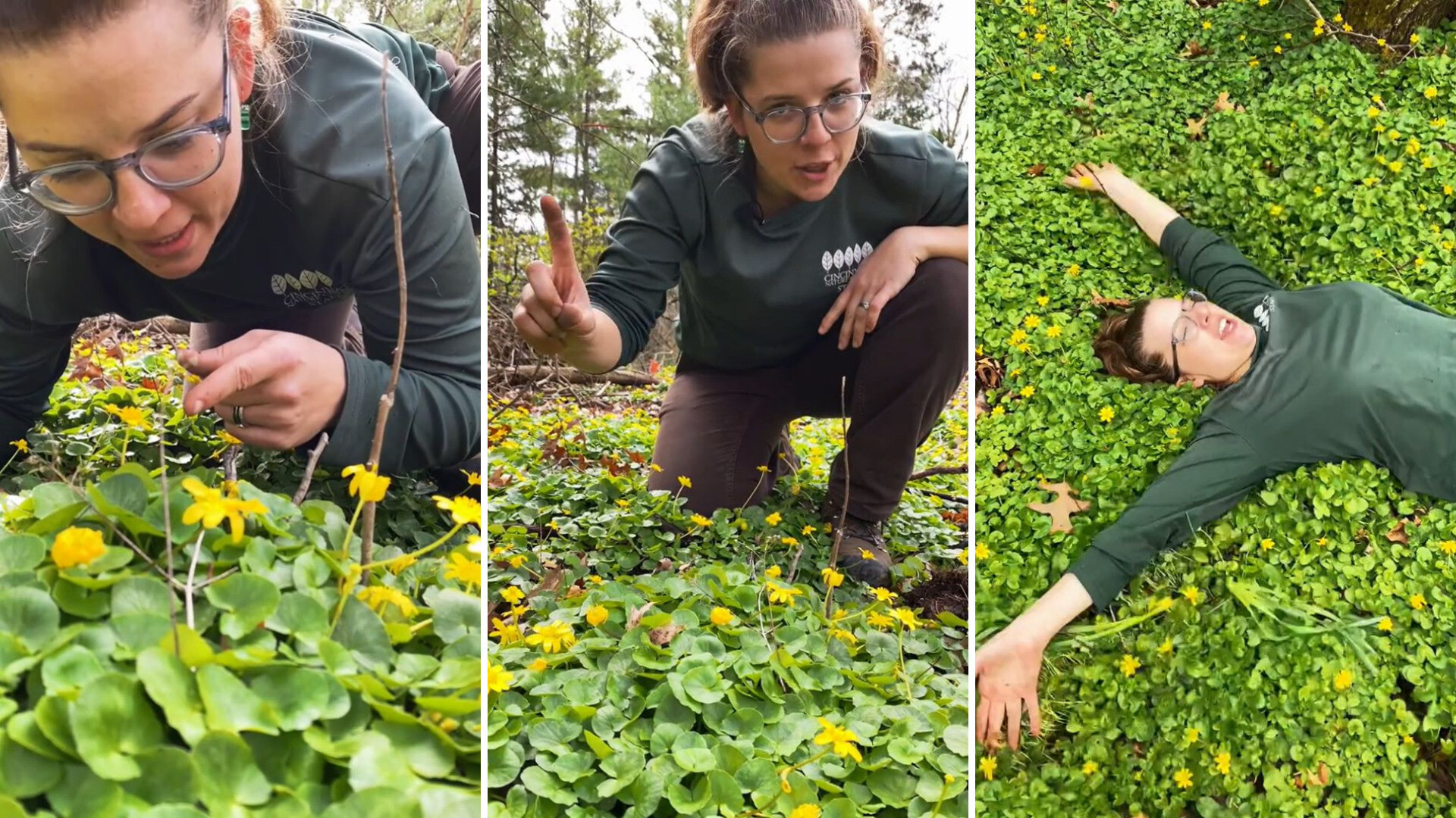 "It's taken over huge areas of our woods."