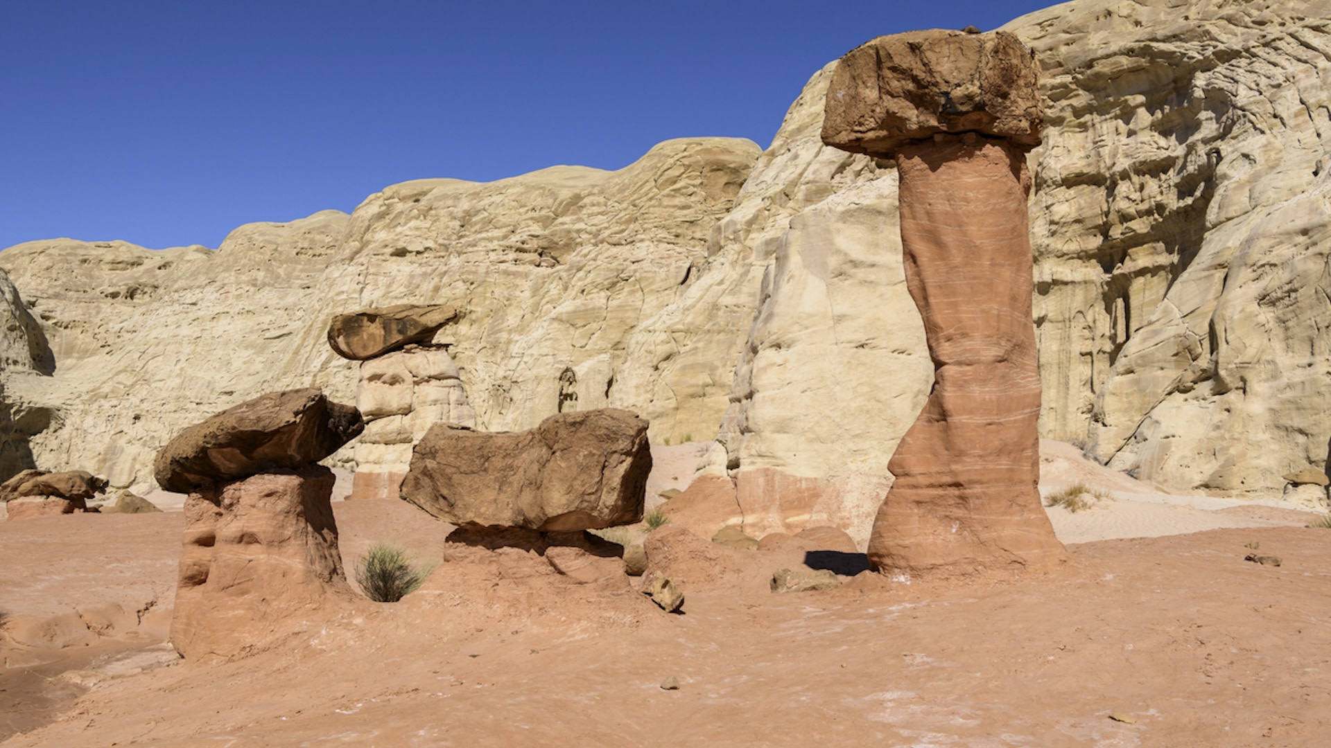 "They are trying their best to make sure future generations are not able to enjoy these natural wonders!"