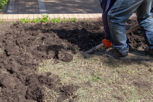 "Have patience, build your soil, and surrender to nature's timeline. It will work."