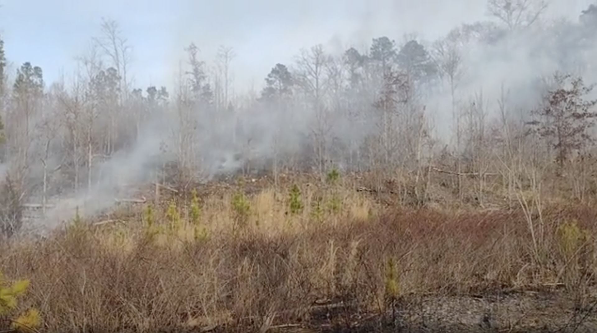 "I've been itching to burn this hillside for about two years."