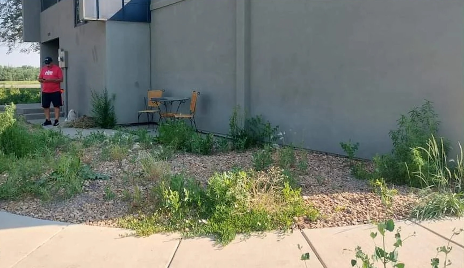 The Healing Garden is a great example of how people and plants can have a mutually beneficial relationship.