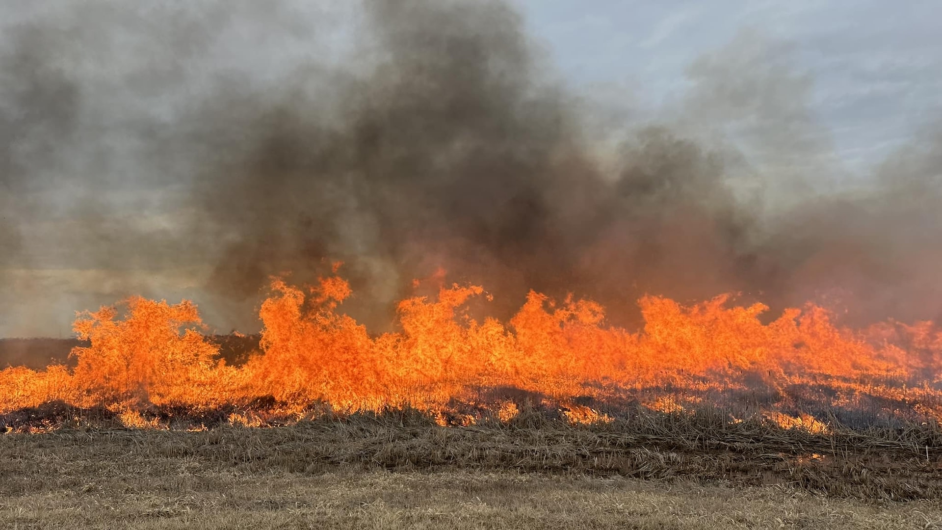 Simply put, these fires have put communities in danger.