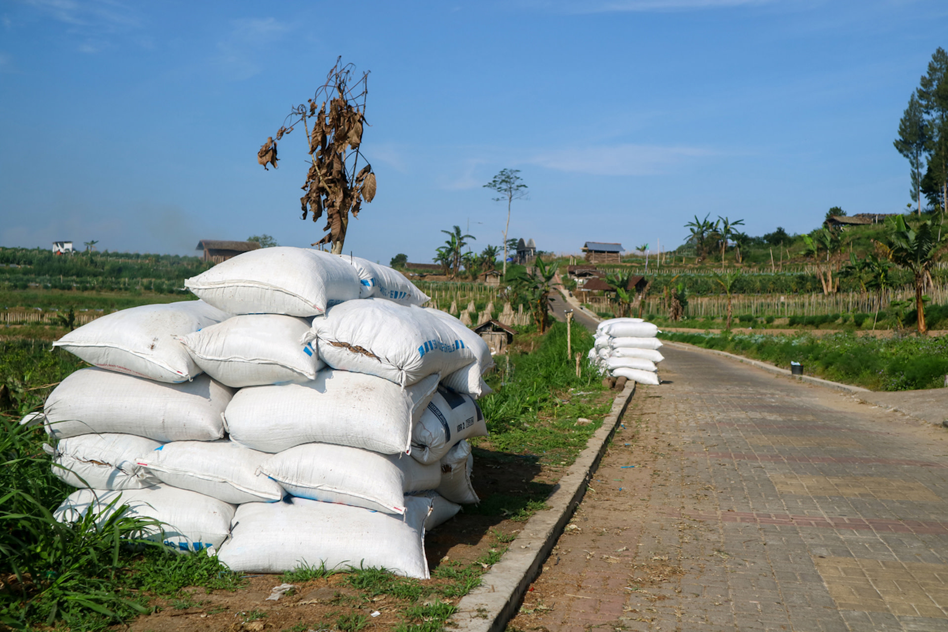 Though the use of plastics in agriculture has provided benefits, experts are now raising concerns about potential repercussions.