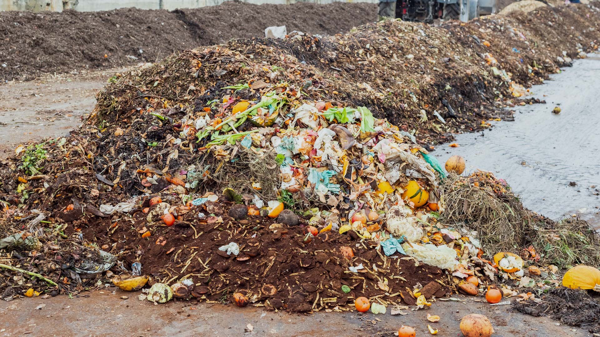 State deploys high-tech sorting system to separate compostables from trash — here's how it works