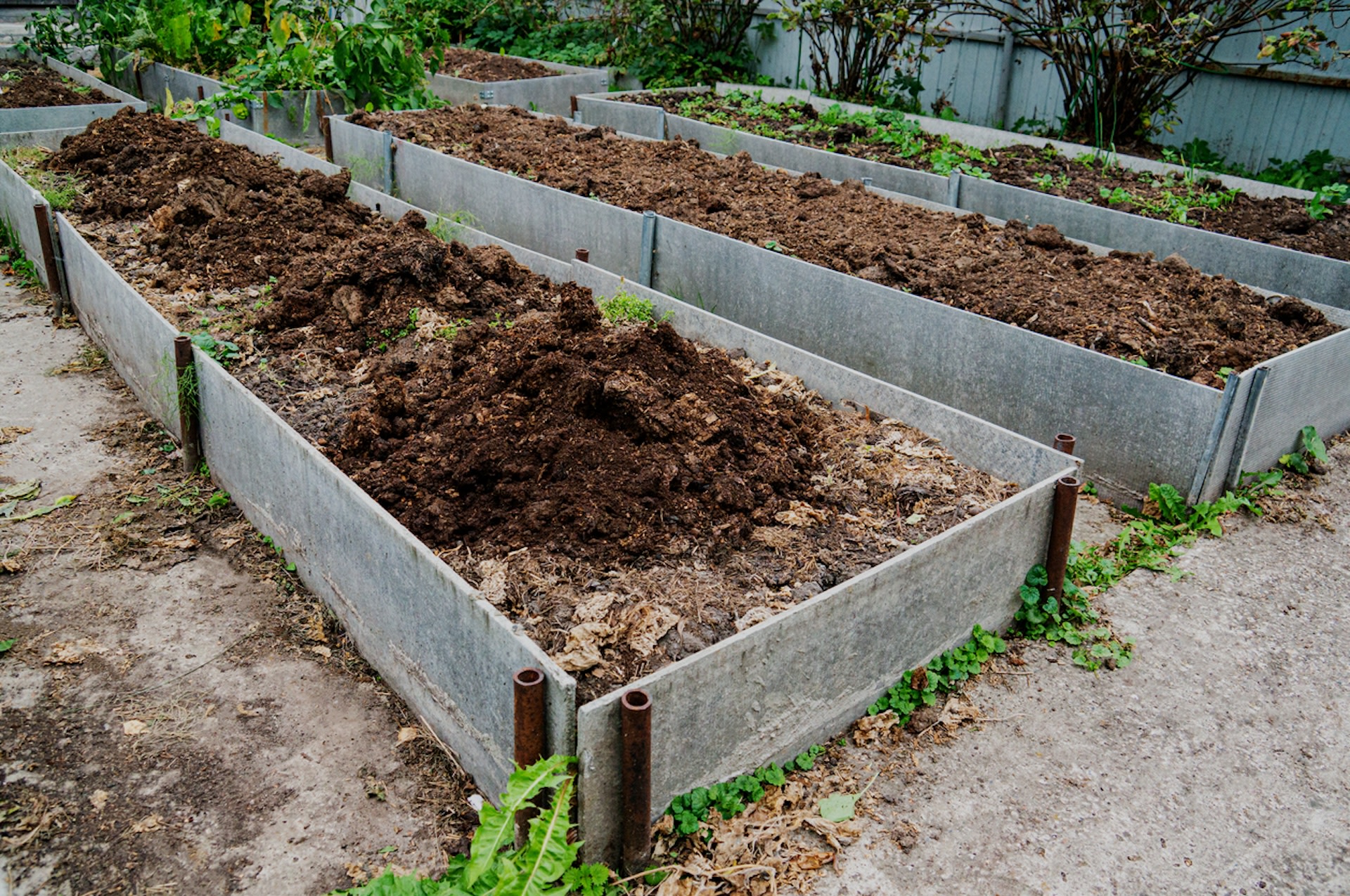 "You need to take a good third of that out, and start mixing in some organic material to loosen it up."