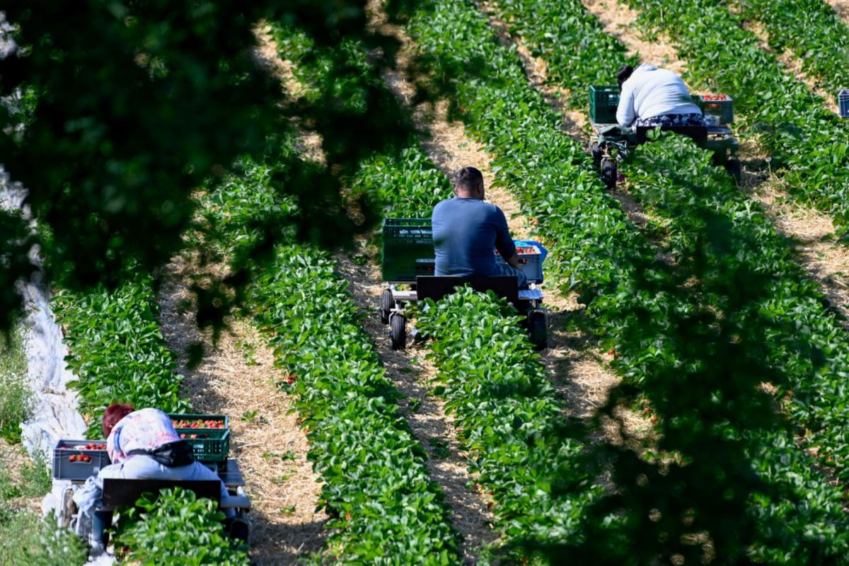 This decision is typical of a growing kickback against municipal worker protections across the U.S.