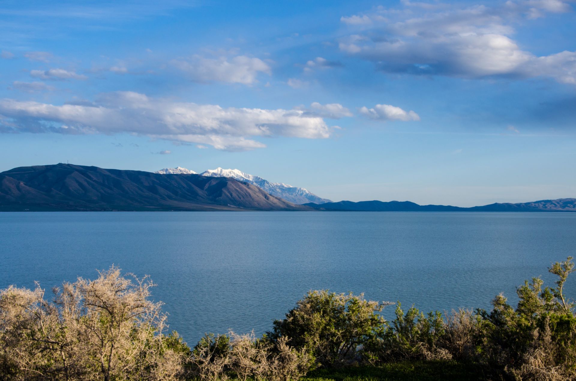 "It will take all of us working together to protect and sustain the lake."