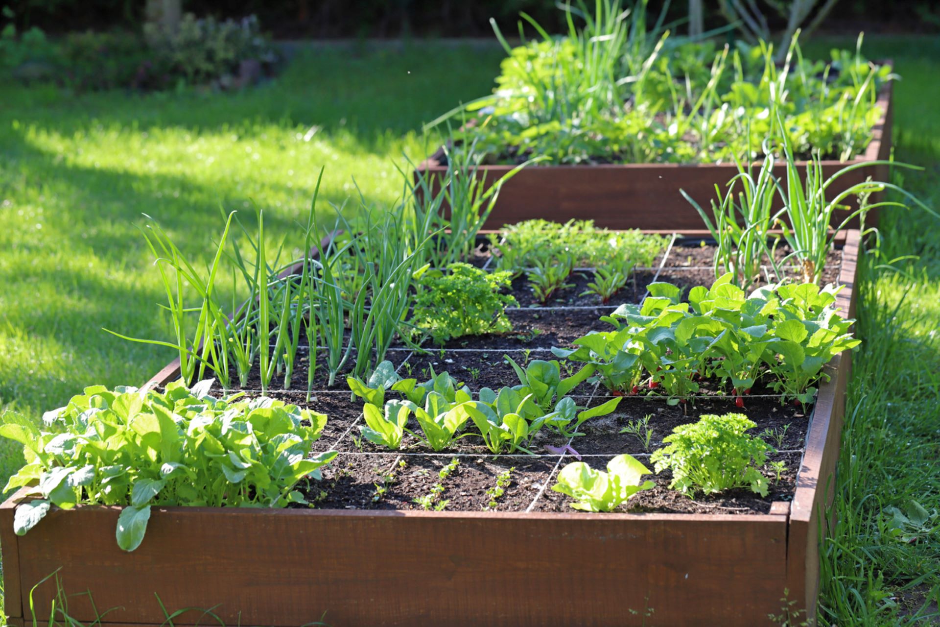 "It's taken me years to painstakingly remove [what] the previous owners installed in my yard."