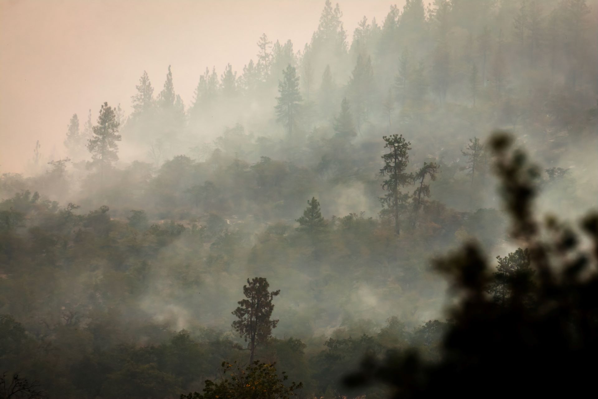 "Pollutants penetrate deeper and trigger the immune system."