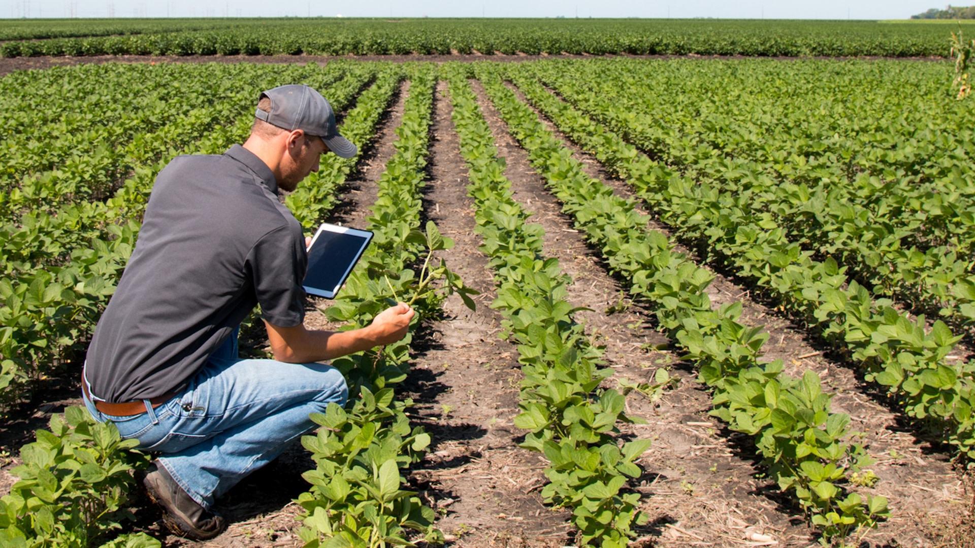 Farming, which heavily relies on the ability to forecast and track weather changes, has been greatly impacted as weather patterns have begun to shift.