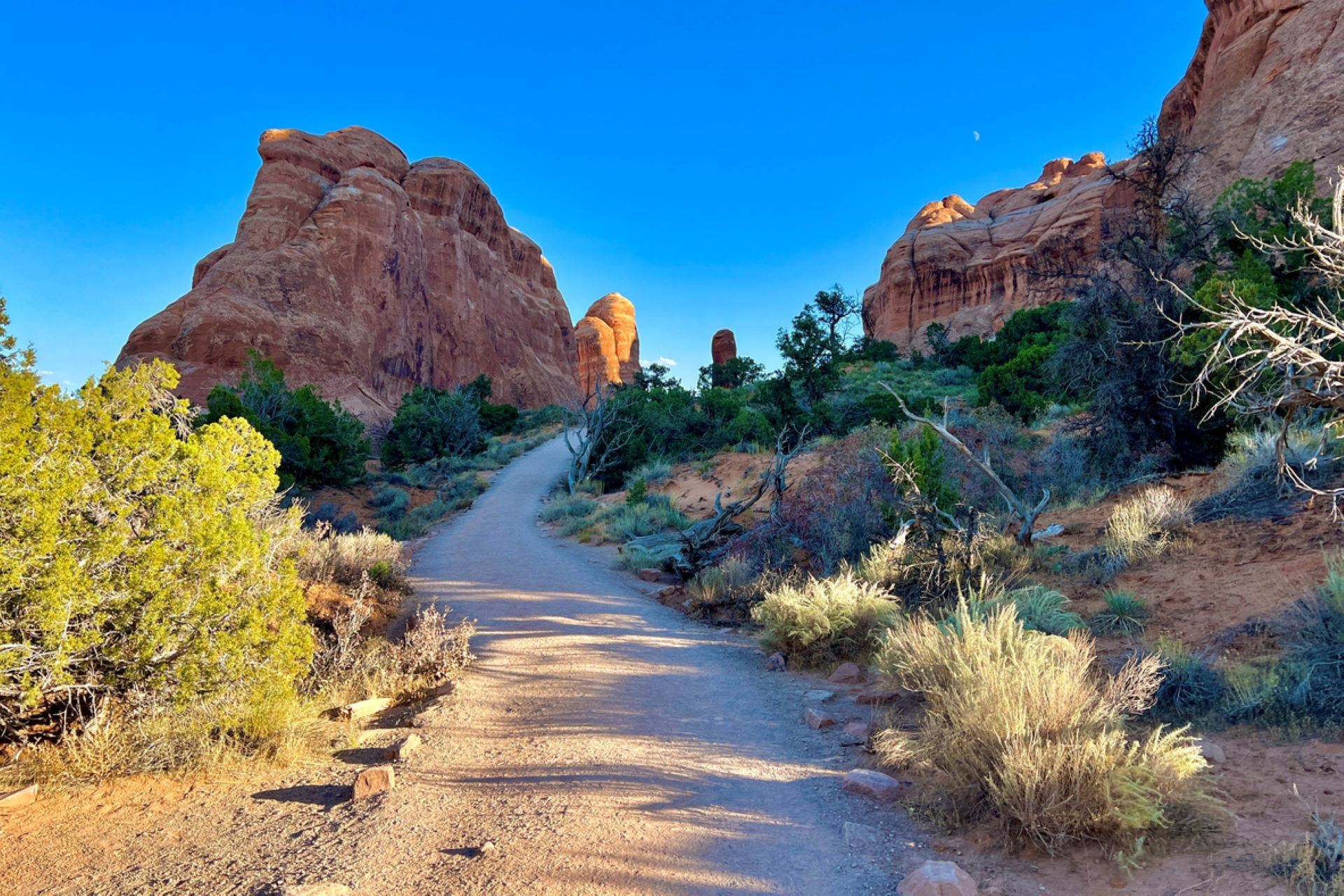 "I spoke to some of the park rangers about this."