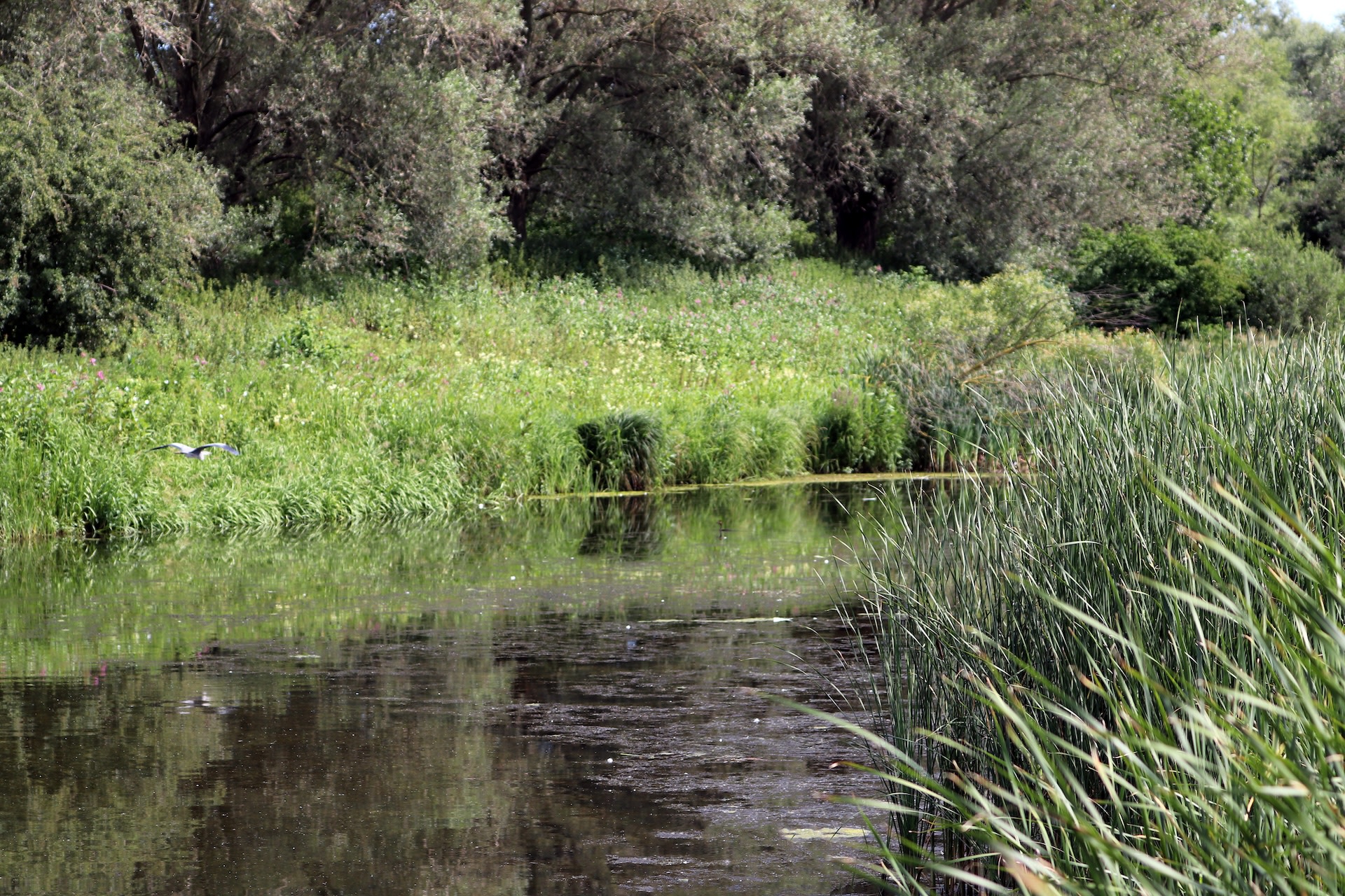 "This has been an outstanding opportunity to utilize our protected wildlands to support native biodiversity through endangered species conservation and recovery."