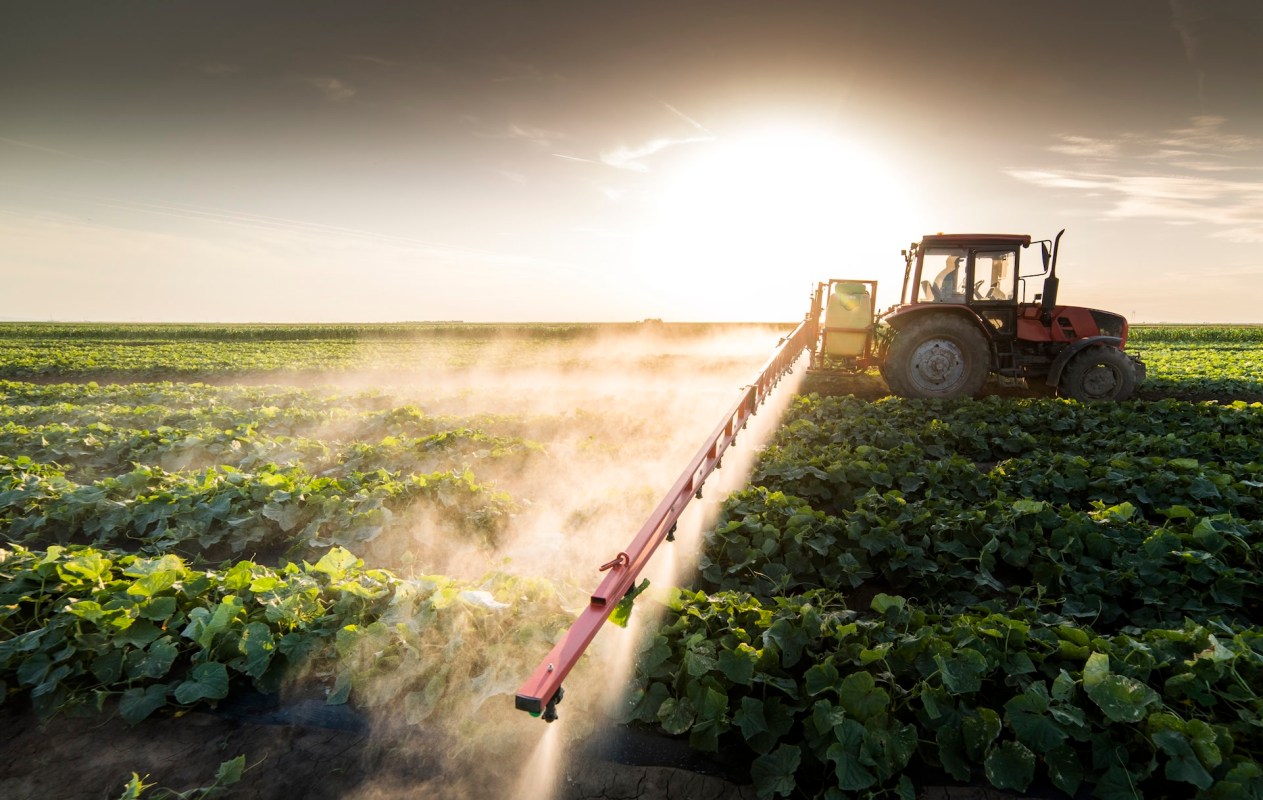 New report identifies fruits and vegetables laden with pesticides, drives experts to call for regulations: 'It is deeply worrying'